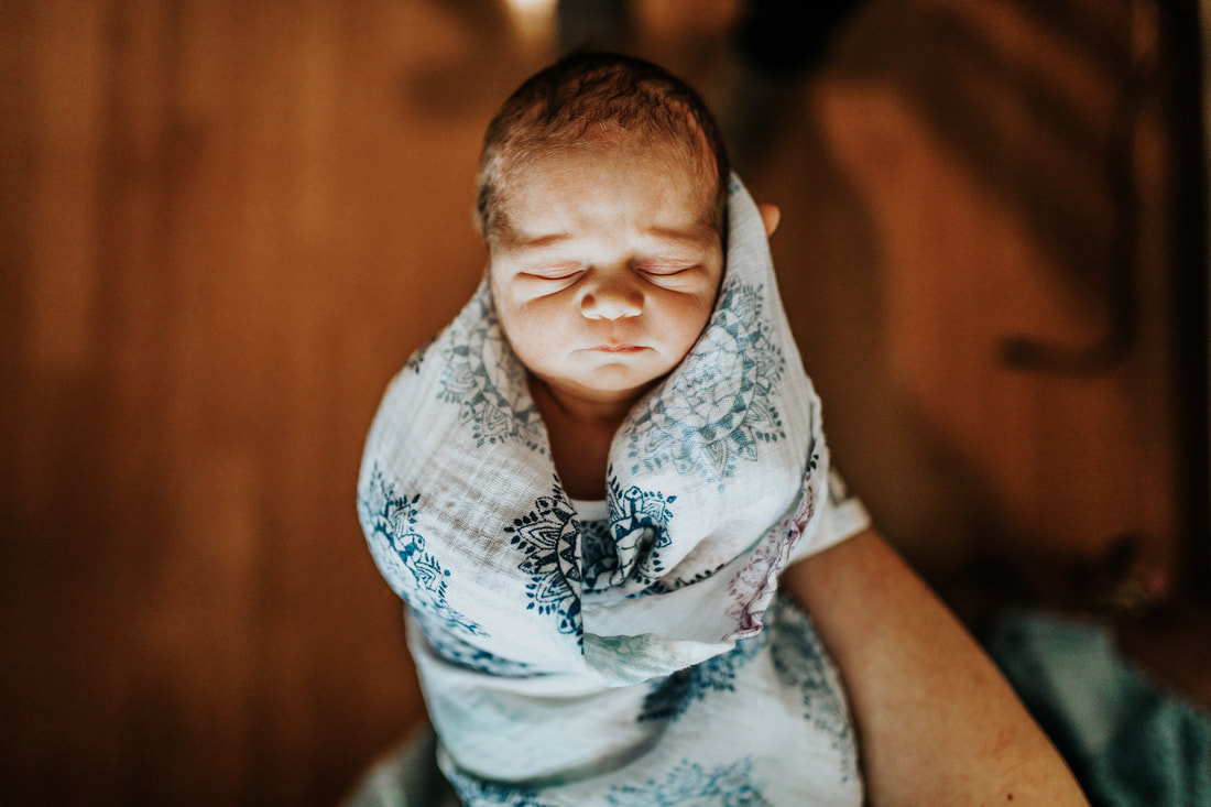 newborn photographer: carly laine